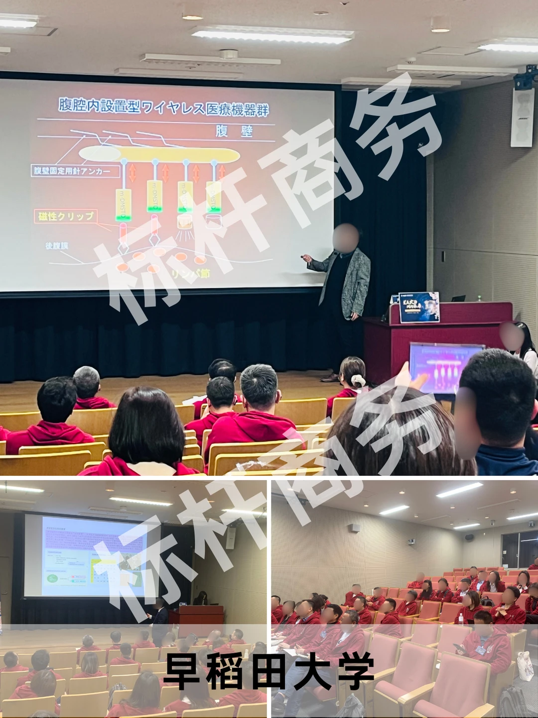 日本商务考察|探秘科技赋能与食品创新