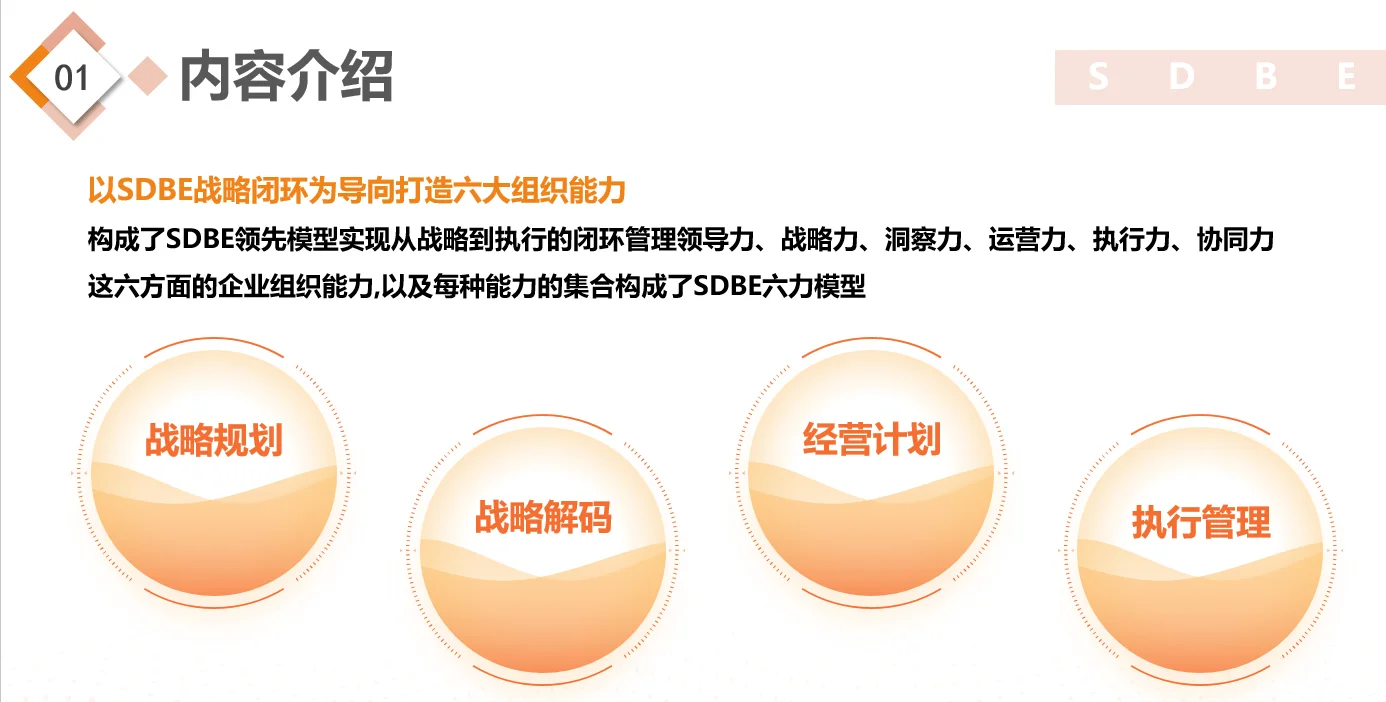 【战略规划】华为战略与洞察 SDBE