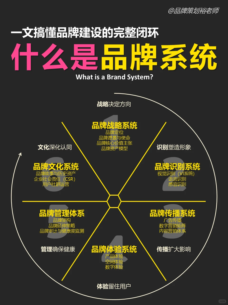 什么是完整闭环的品牌系统