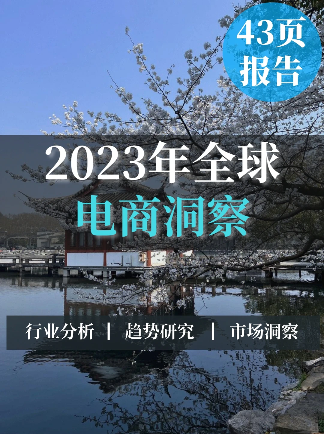 43页报告▏2023年全球电商洞察