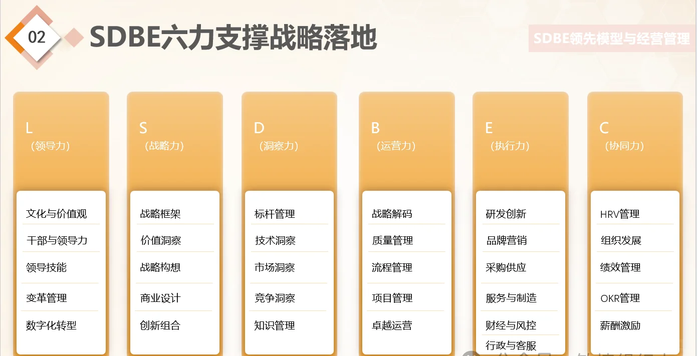 【战略规划】华为战略与洞察 SDBE