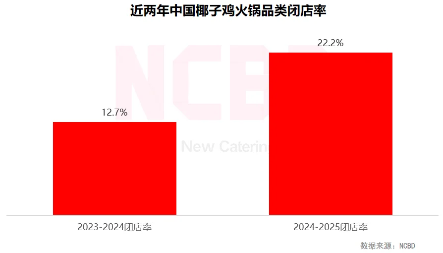 餐宝典发布椰子鸡研究报告