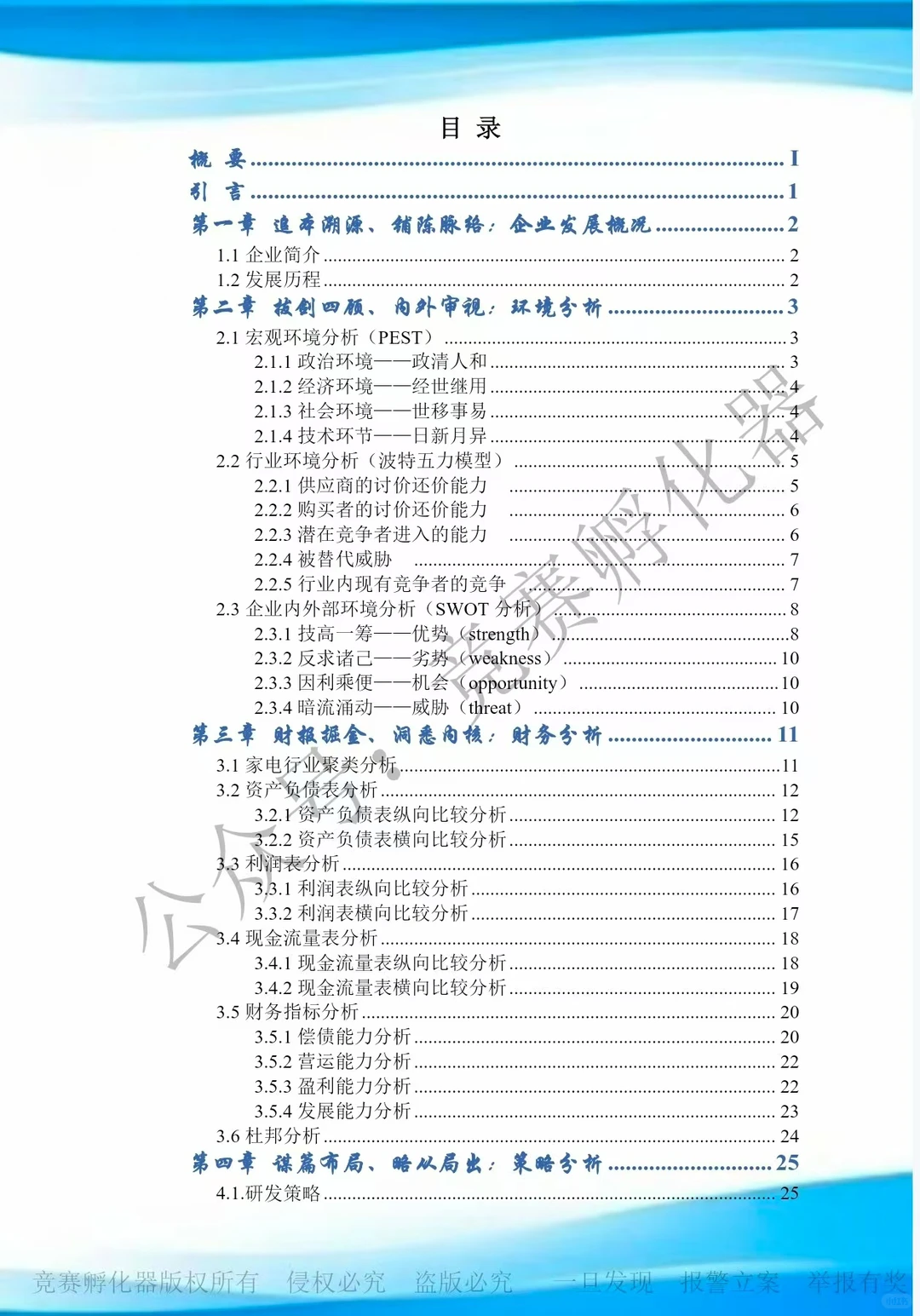 2025会计案例国一作品