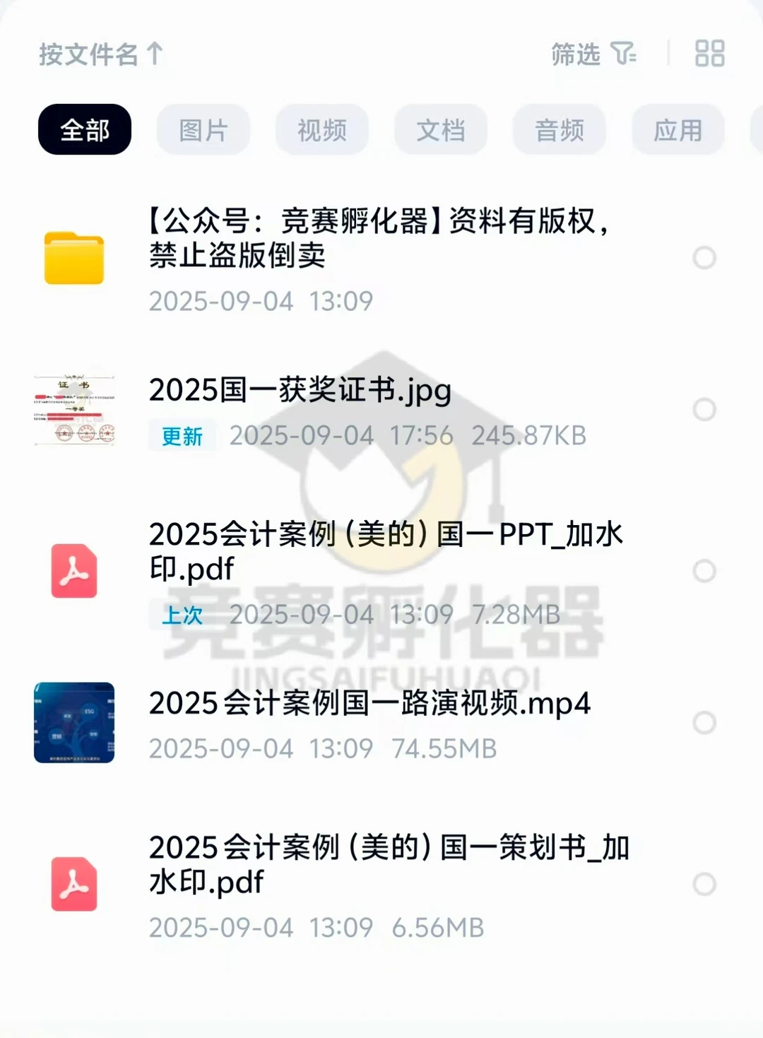 2025会计案例国一作品
