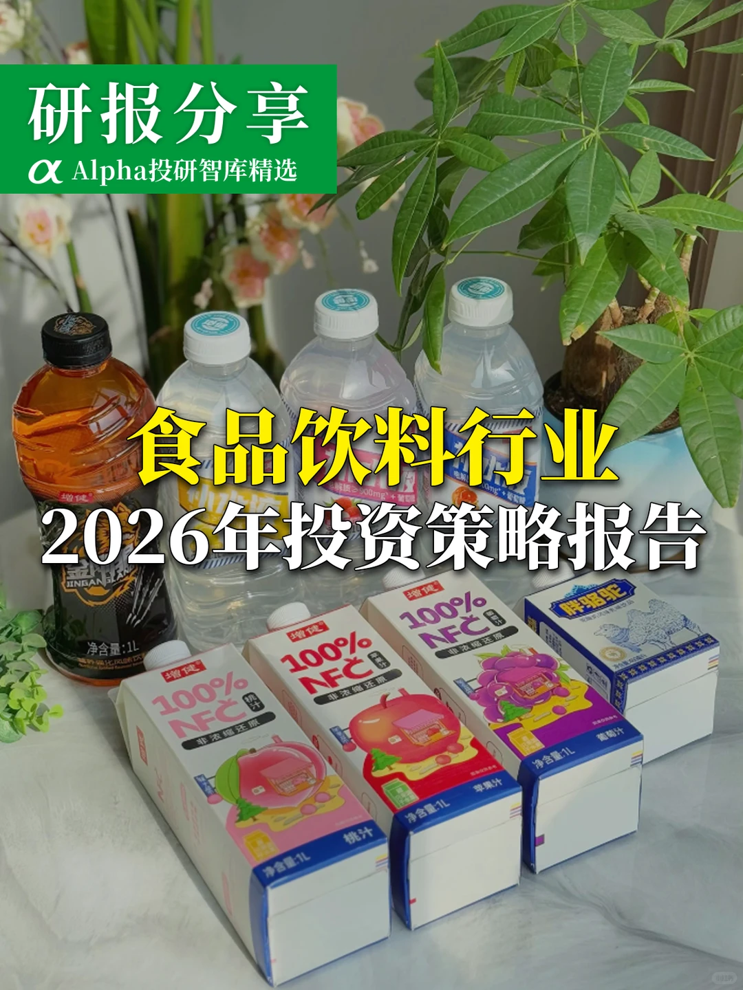 2026食品饮料行业投资策略报告,干货分享