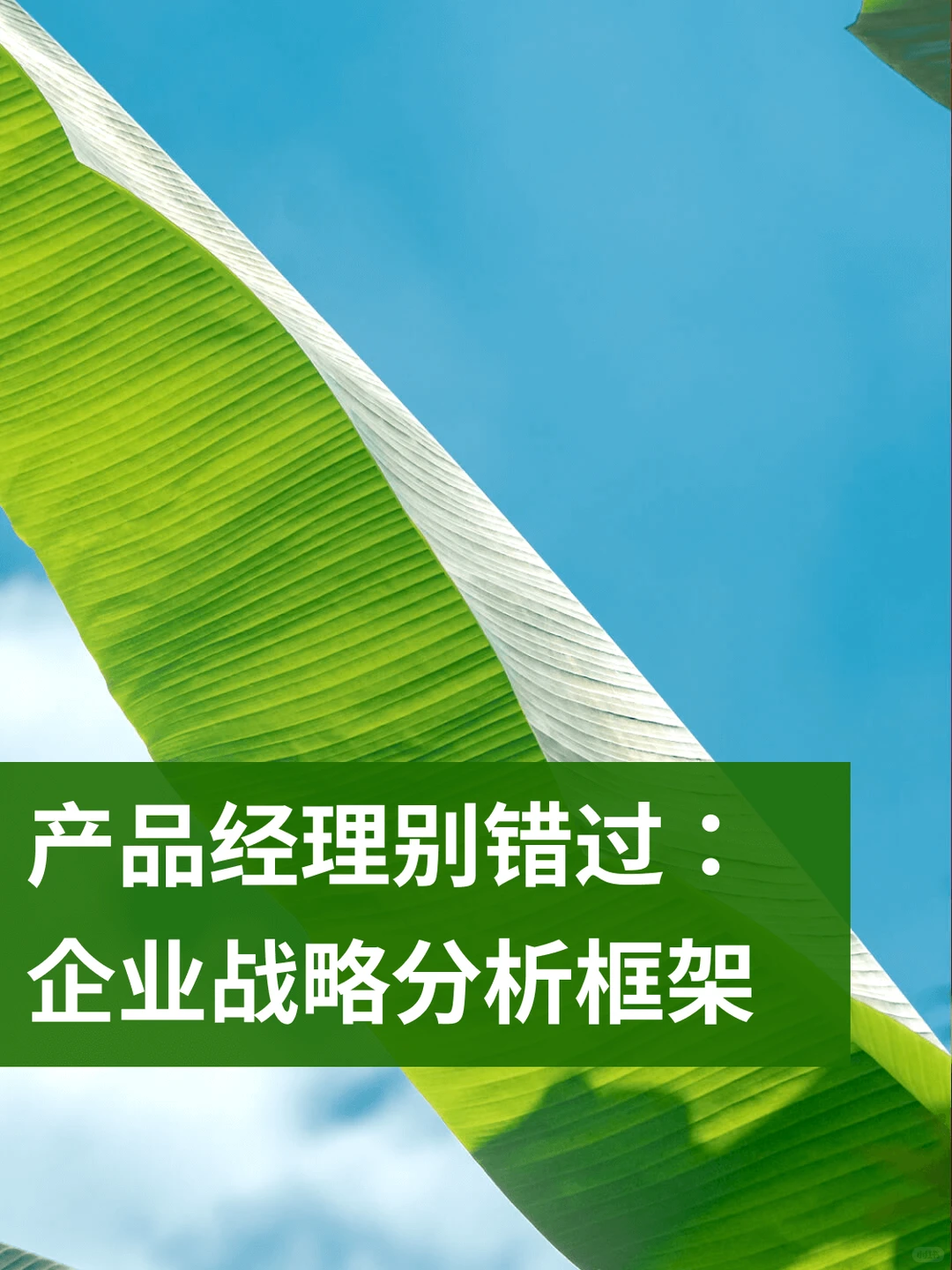 产品经理别错过: 企业战略分析框架