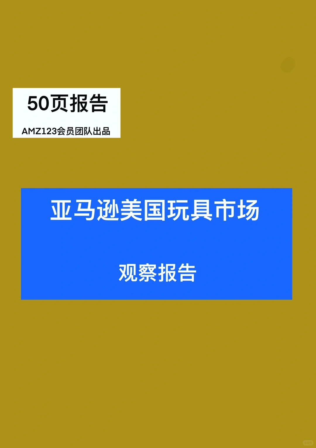 50页报告|了解亚马逊美国玩具市场