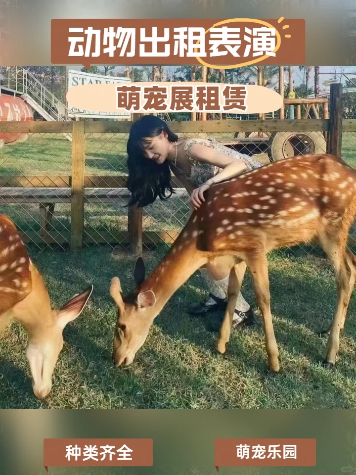 保山展览演艺水母展览租赁