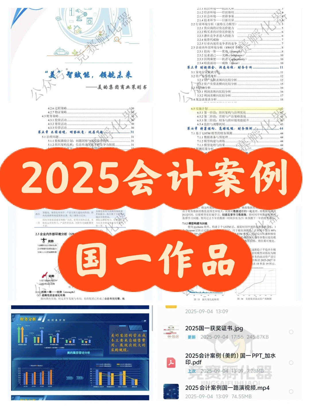 2025会计案例国一作品
