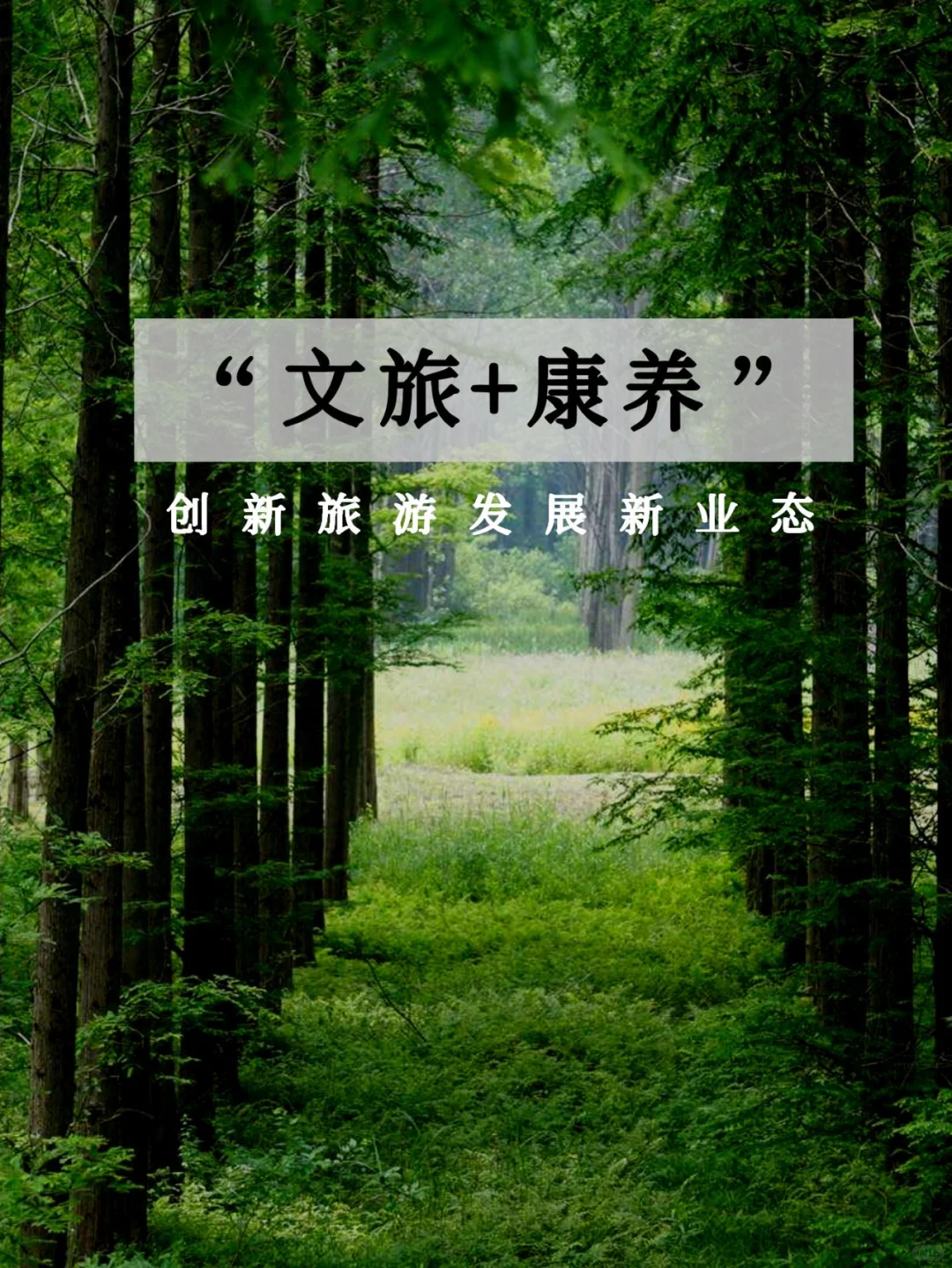“文旅+康养”:创新旅游发展新业态