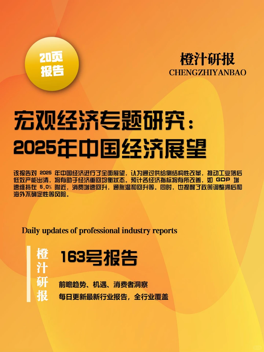 行业报告 | 2025 中国经济供需平衡展望