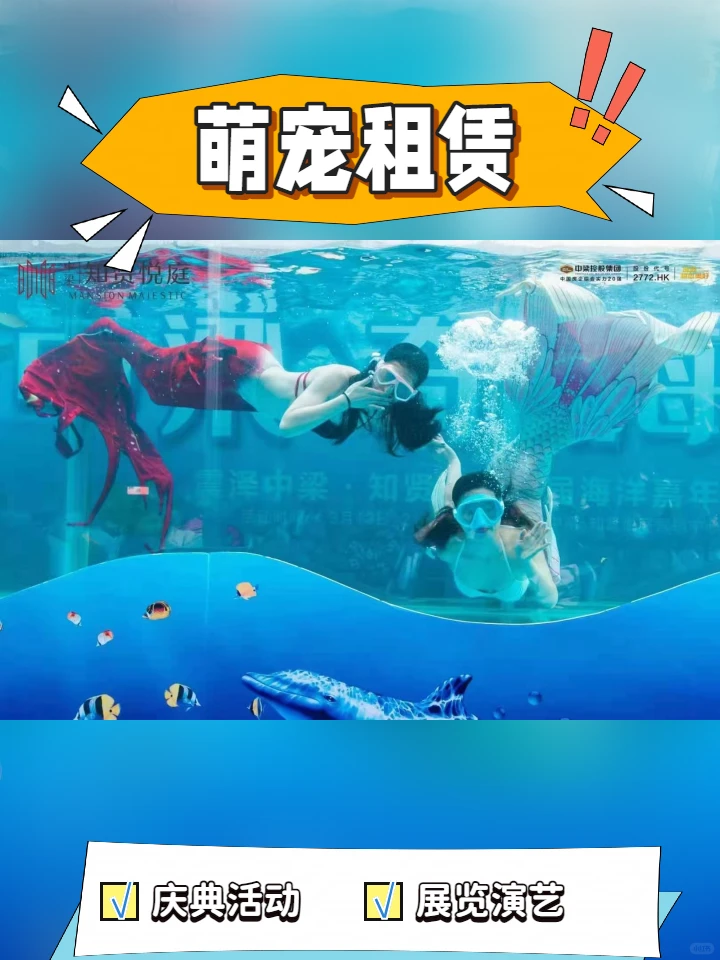 西双版纳旅游景点开放海狮表演节日租赁