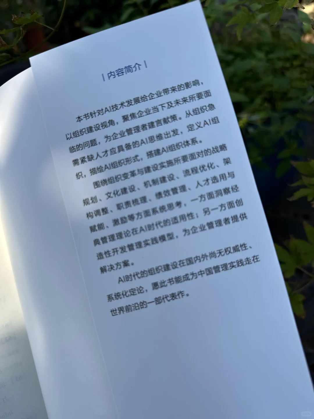?不看这本,还敢说懂AI组织变革?