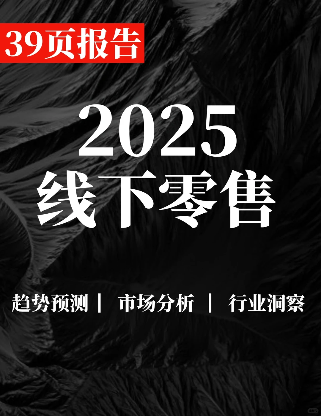 39页报告|2025线下零售市场变化趋势
