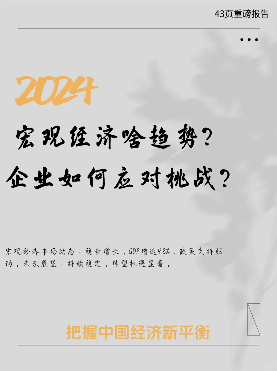 43页报告|2024-2025年中国宏观经济形势与政