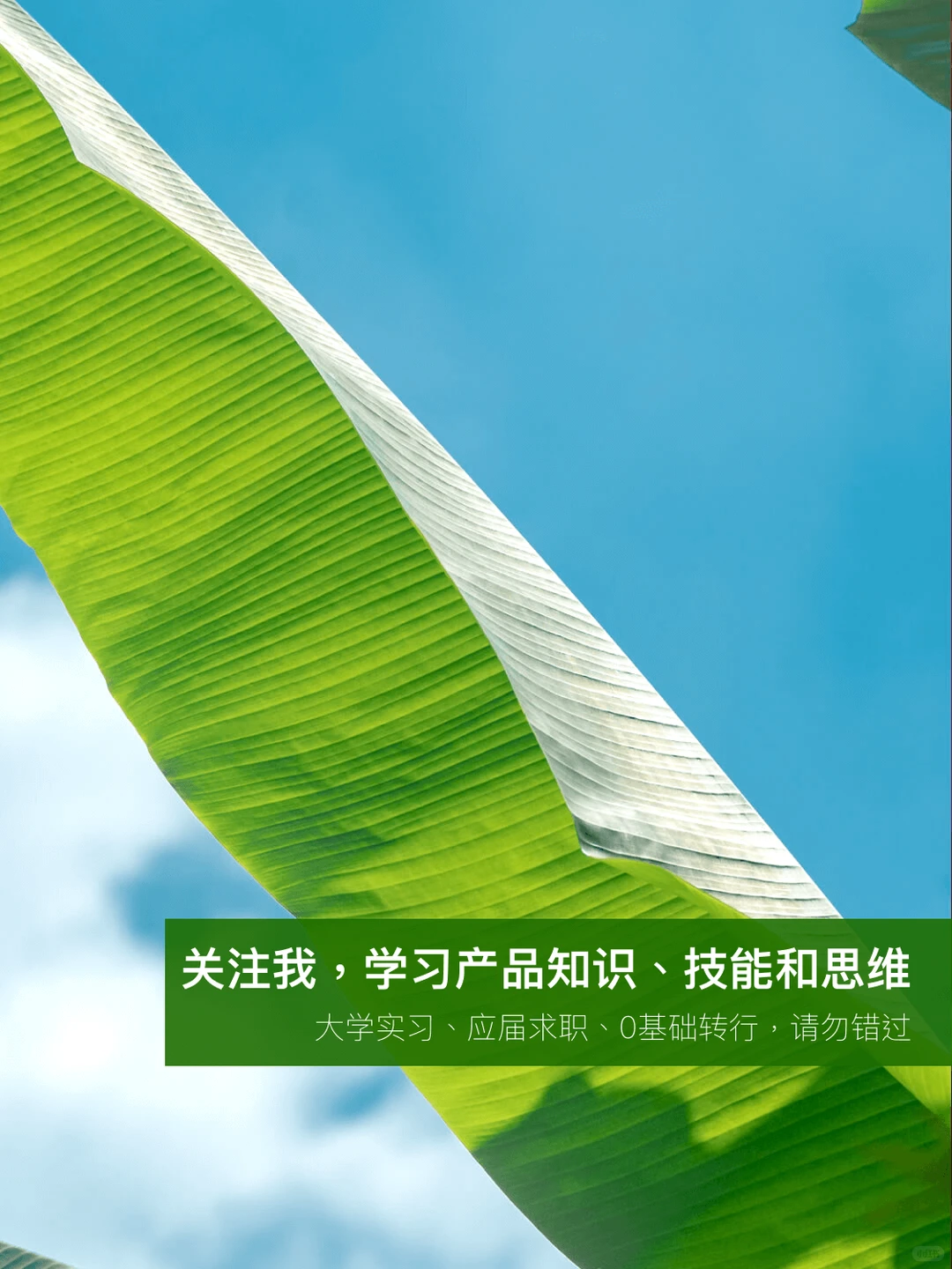 产品经理别错过: 企业战略分析框架