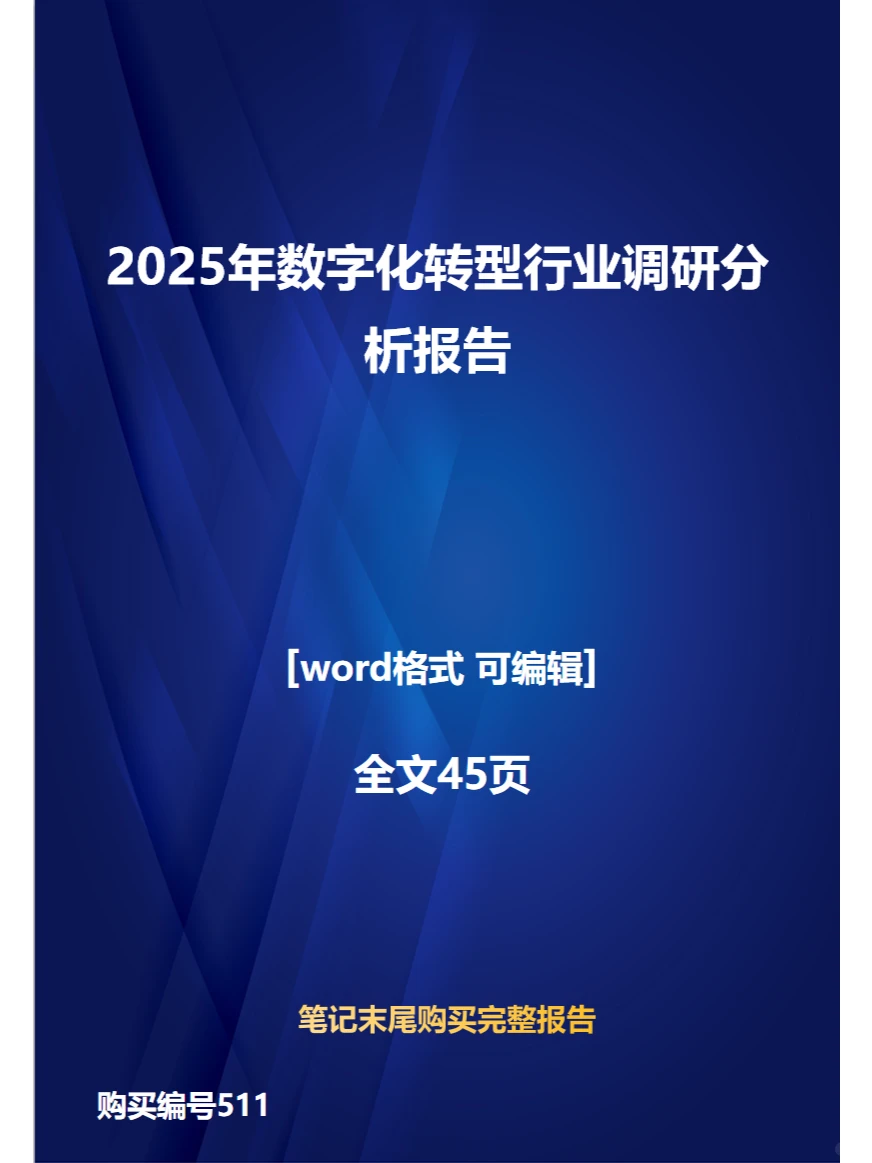 2025年数字化转型行业调研分析报告