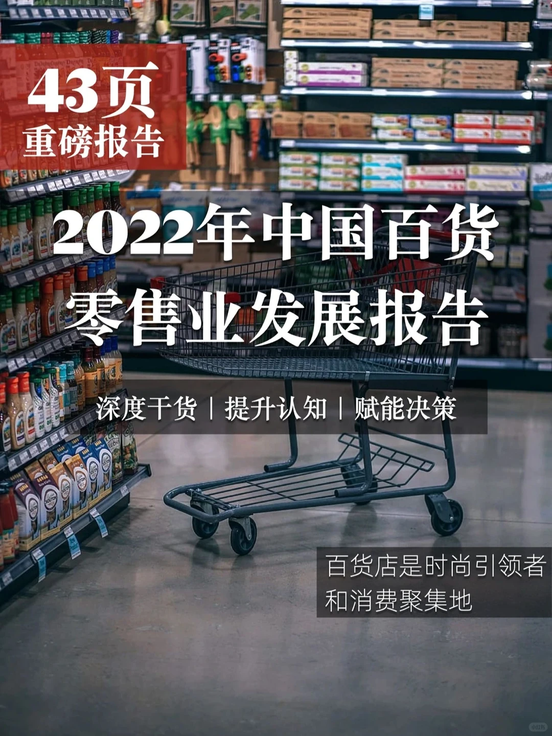 43页报告|我读懂了中国2022百货零售行业