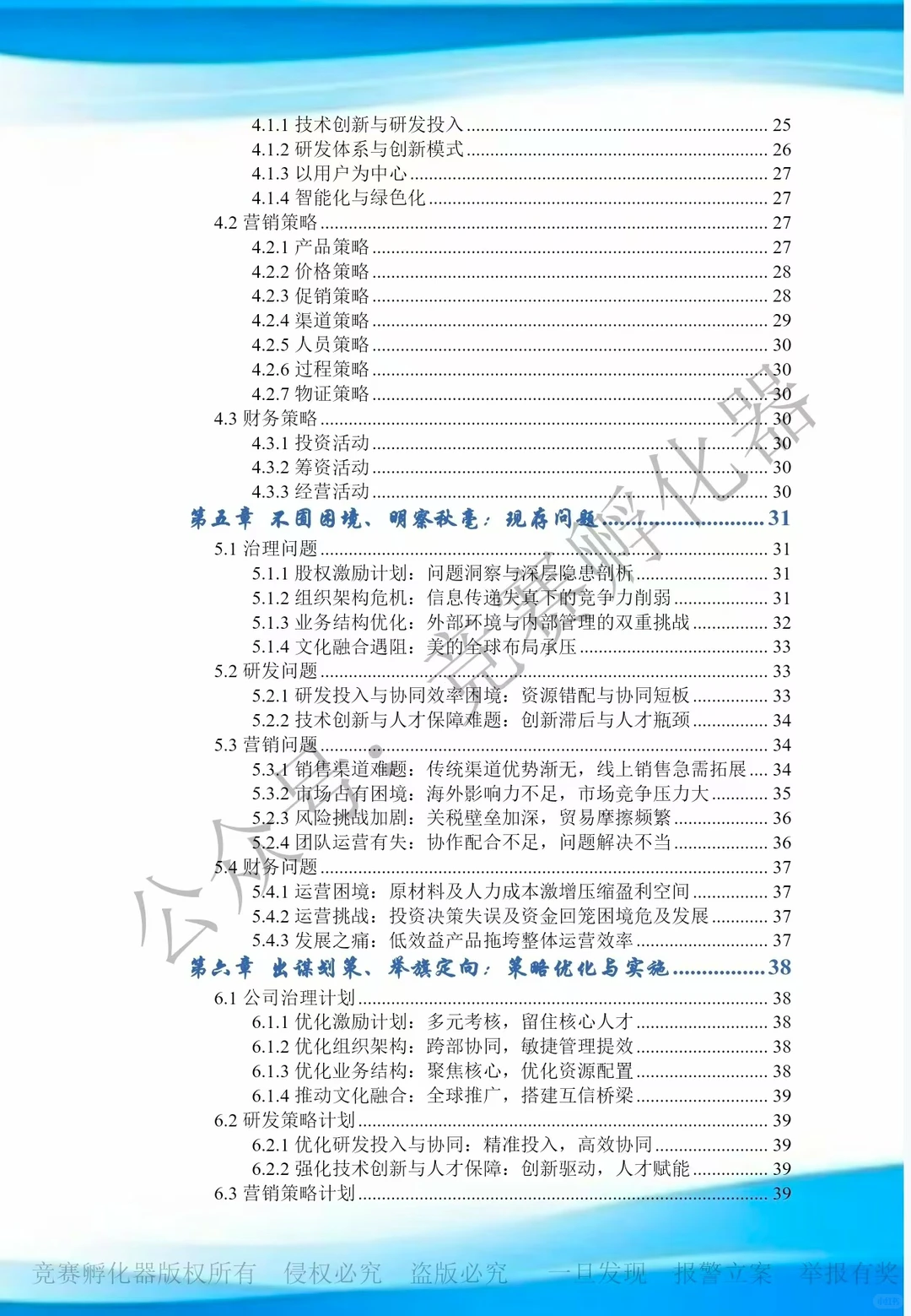 2025会计案例国一作品