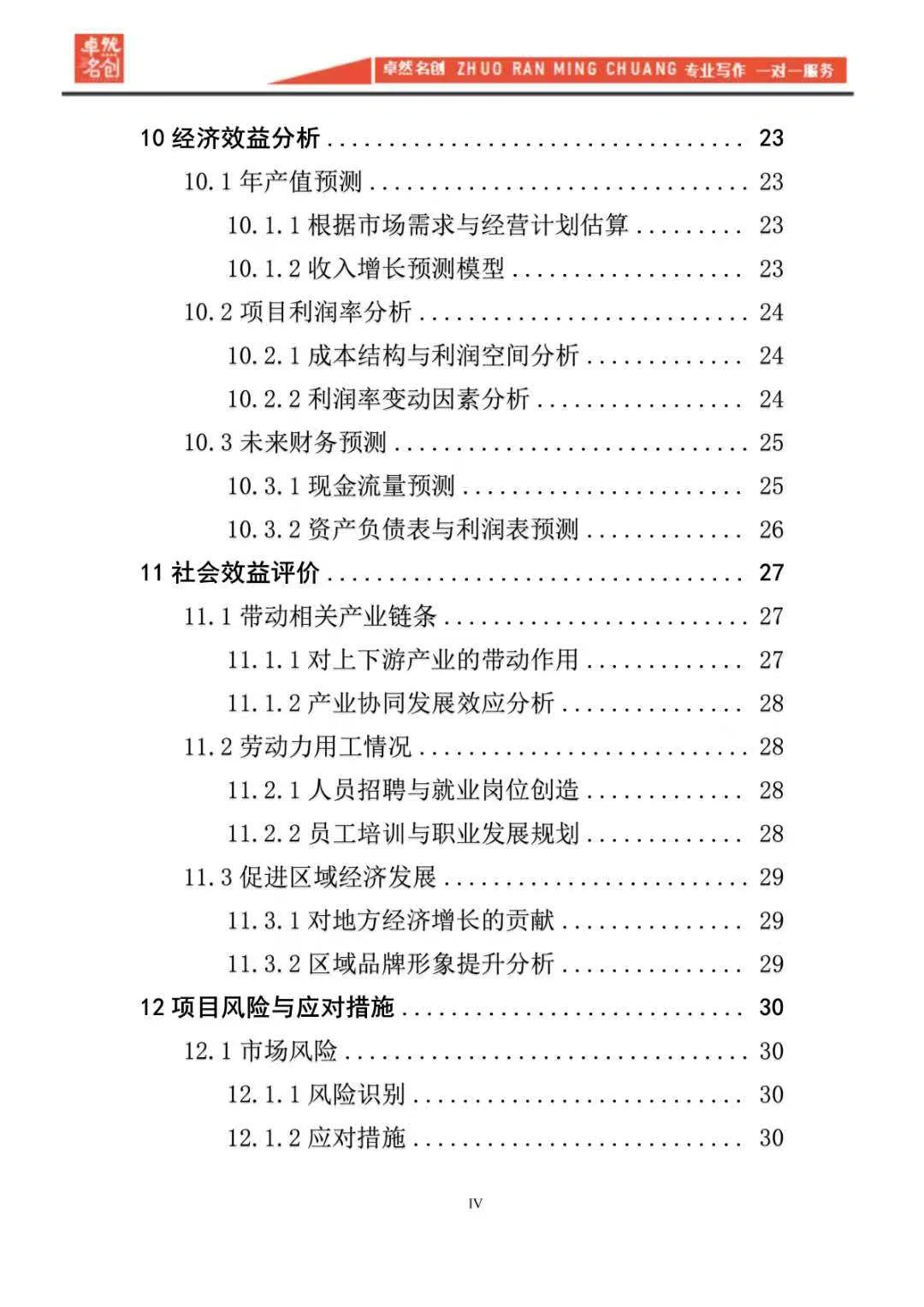 债券融资可行性研究报告报告怎么写？