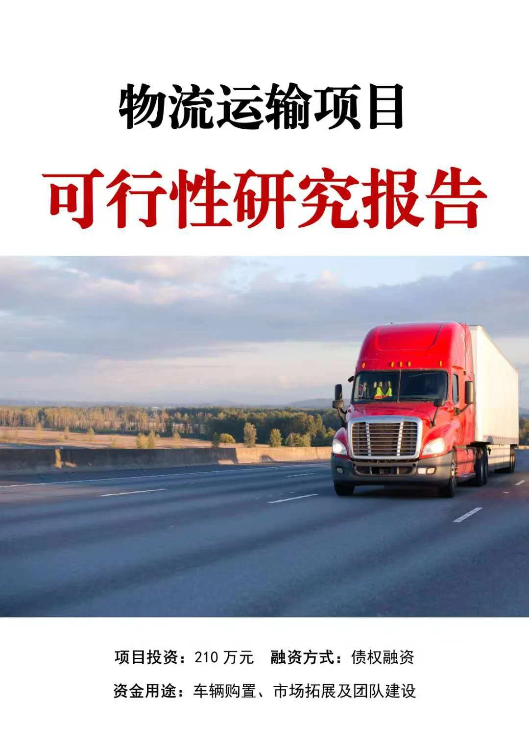 债券融资可行性研究报告报告怎么写？