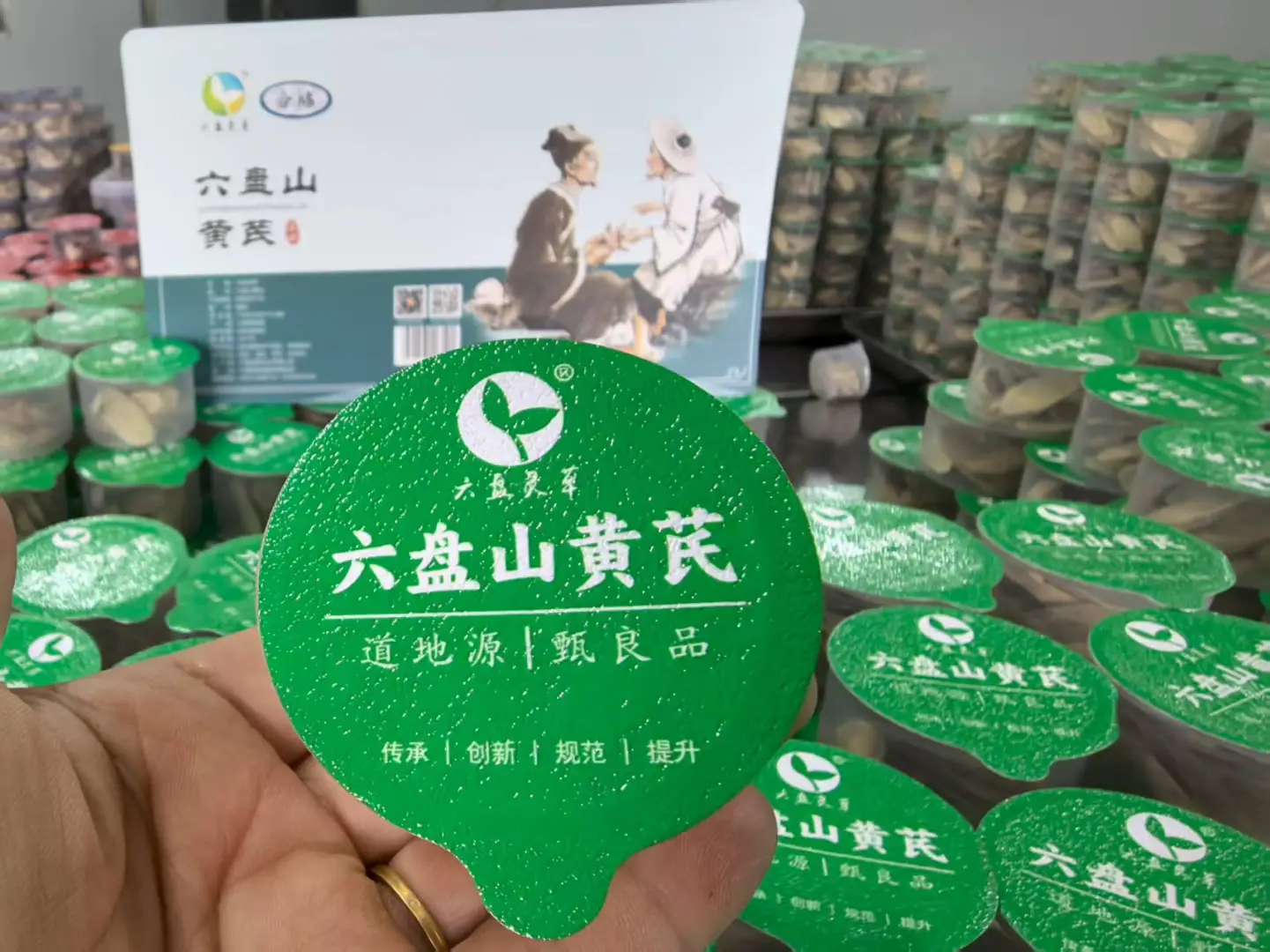 六盘灵草