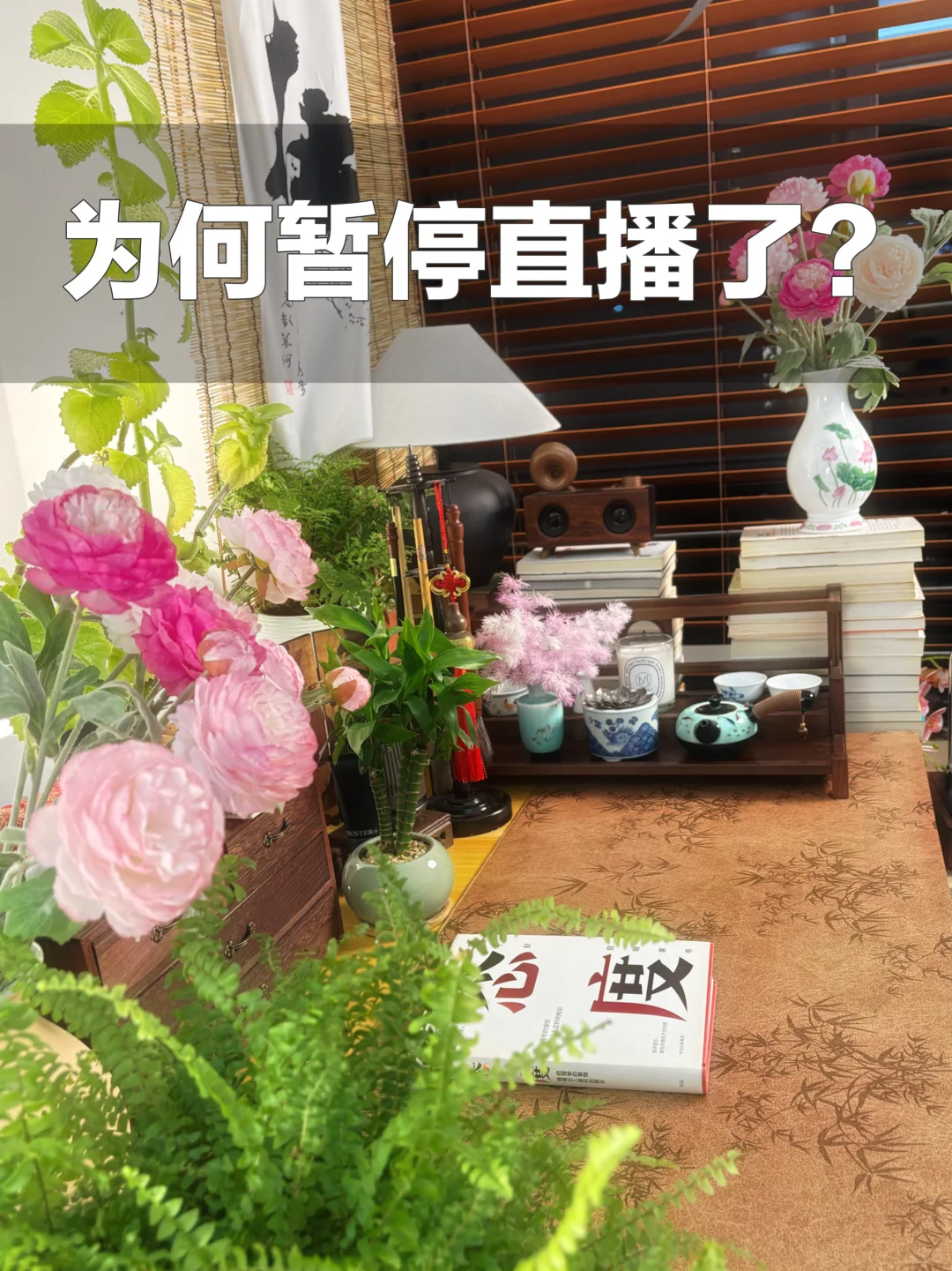 为何我断播了,姐妹们觉得呢?
