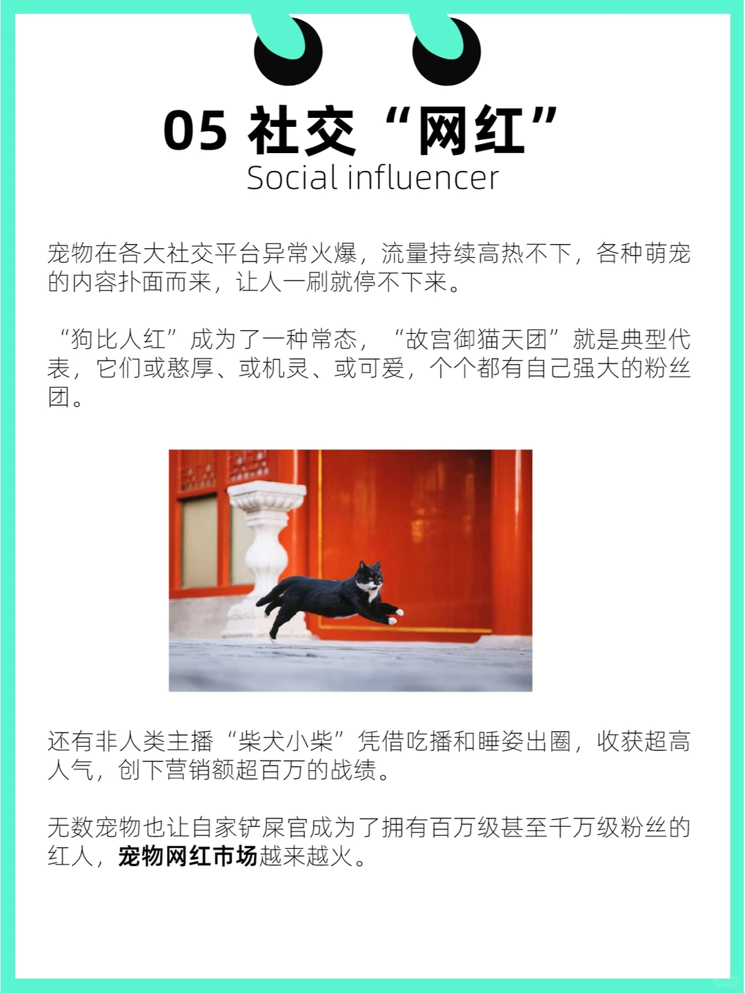?品牌方:宠物经济风口下6个高潜力赛道