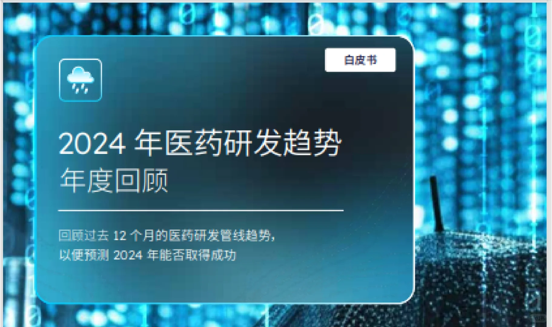 2024年底~看看行业报告