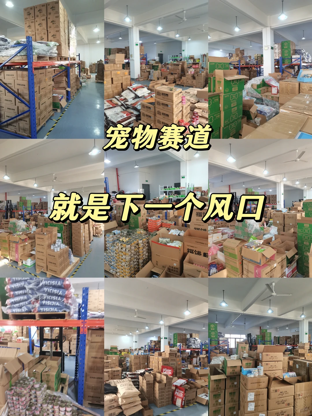 宠物赛道才是下一个风口！