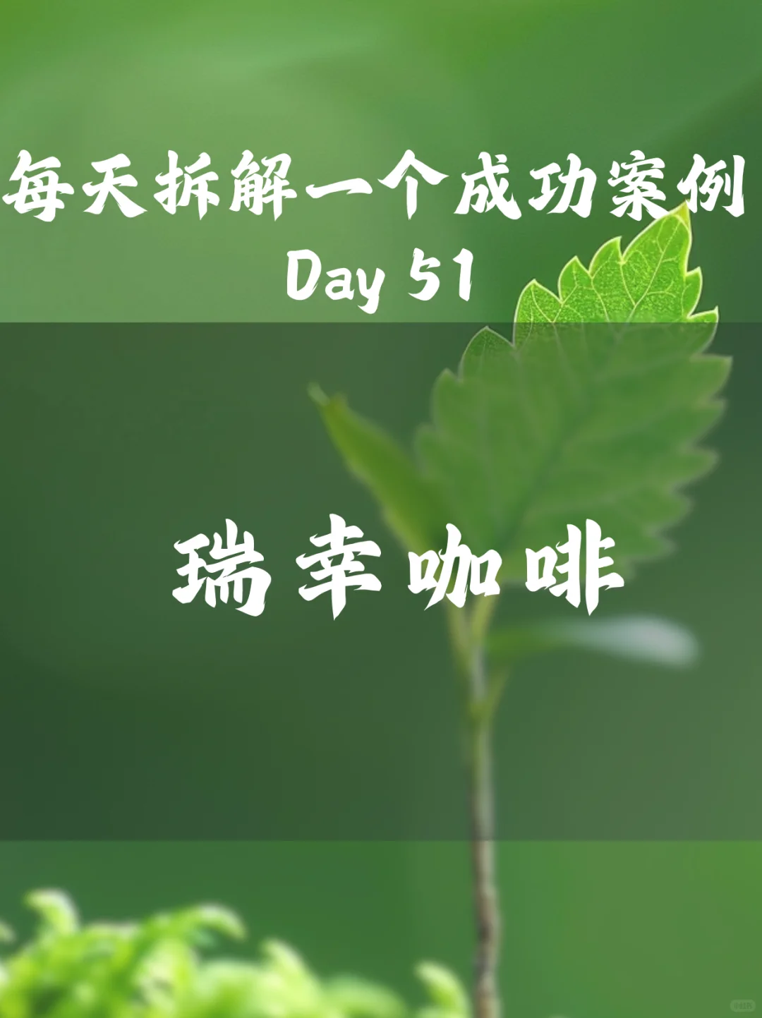 每天拆解一个成功案例 Day51 瑞幸咖啡