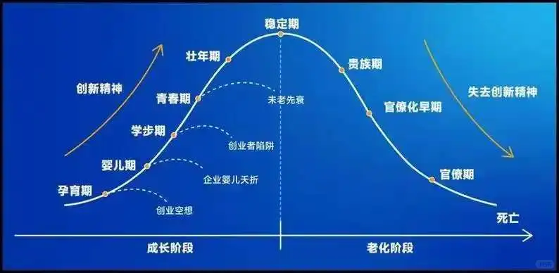 你的企业目前处在哪个阶段？