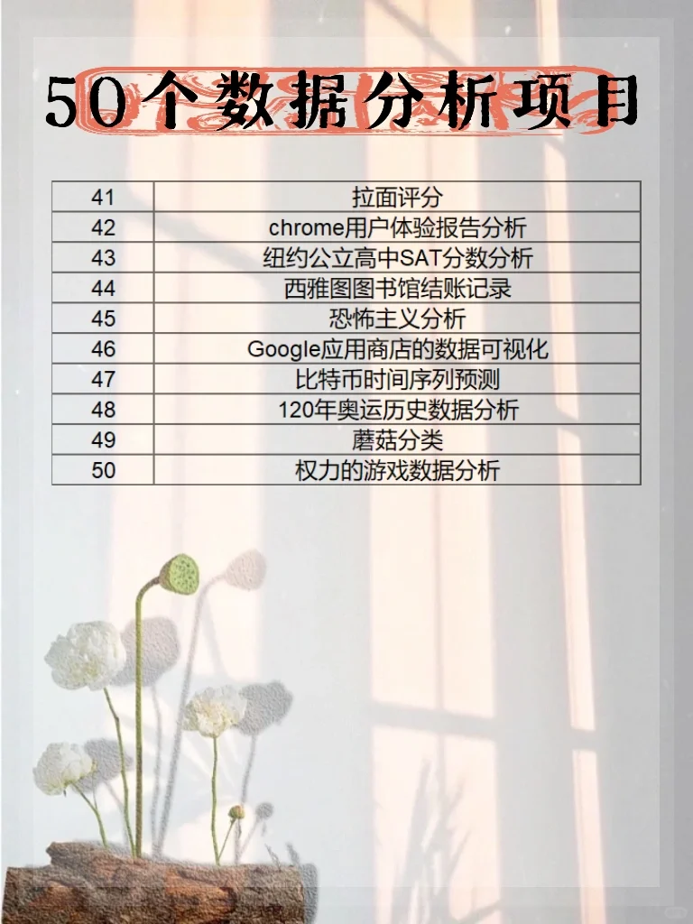 50个数据分析项目，让你成为数据小能手！