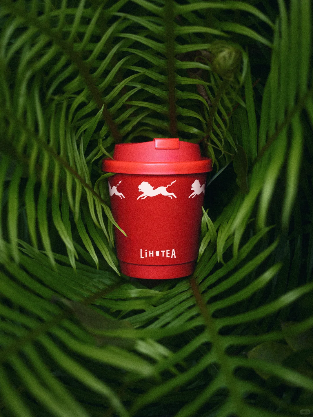 品牌重塑｜LiHO TEA