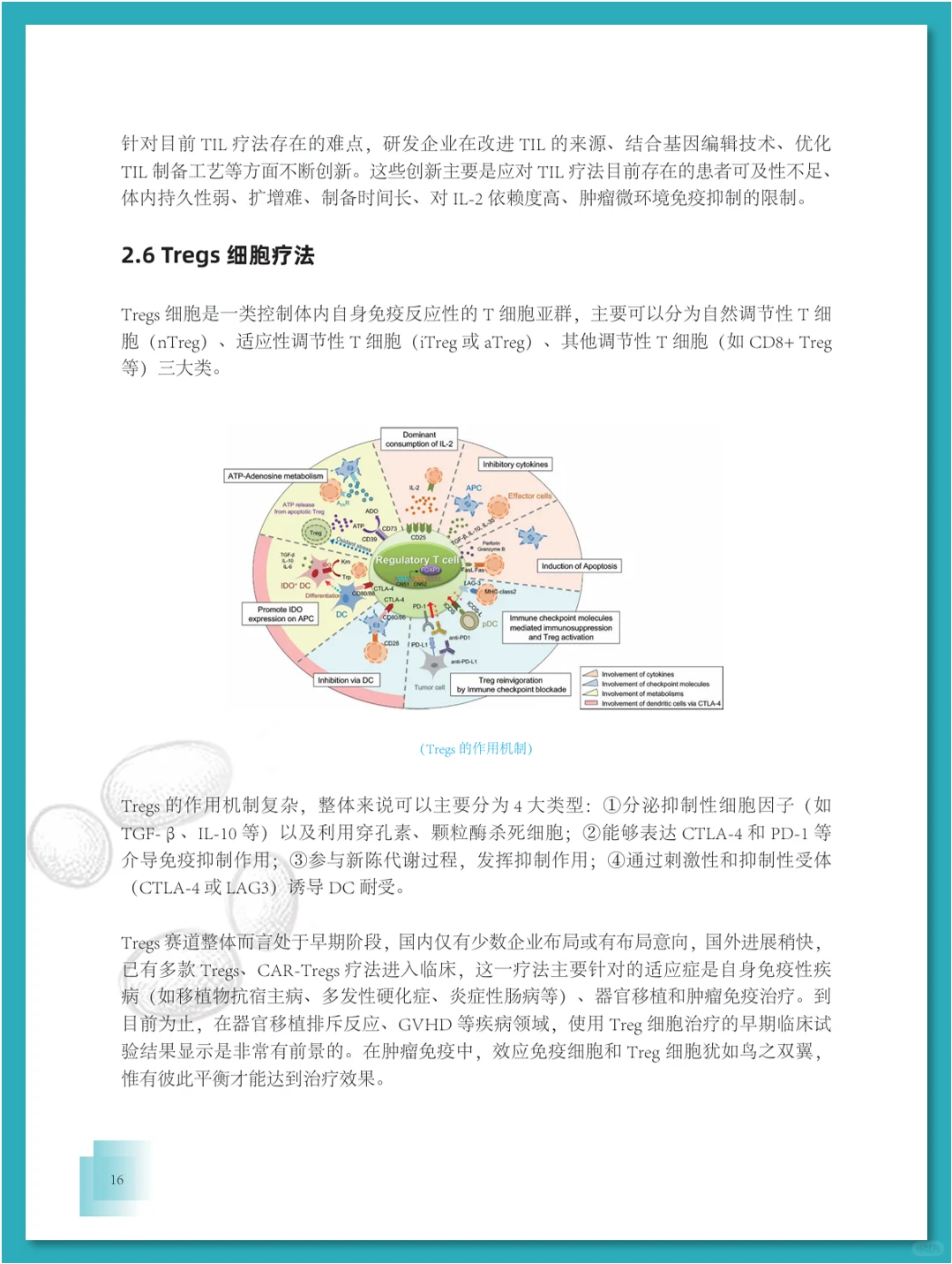 免疫细胞疗法行业发展白皮书