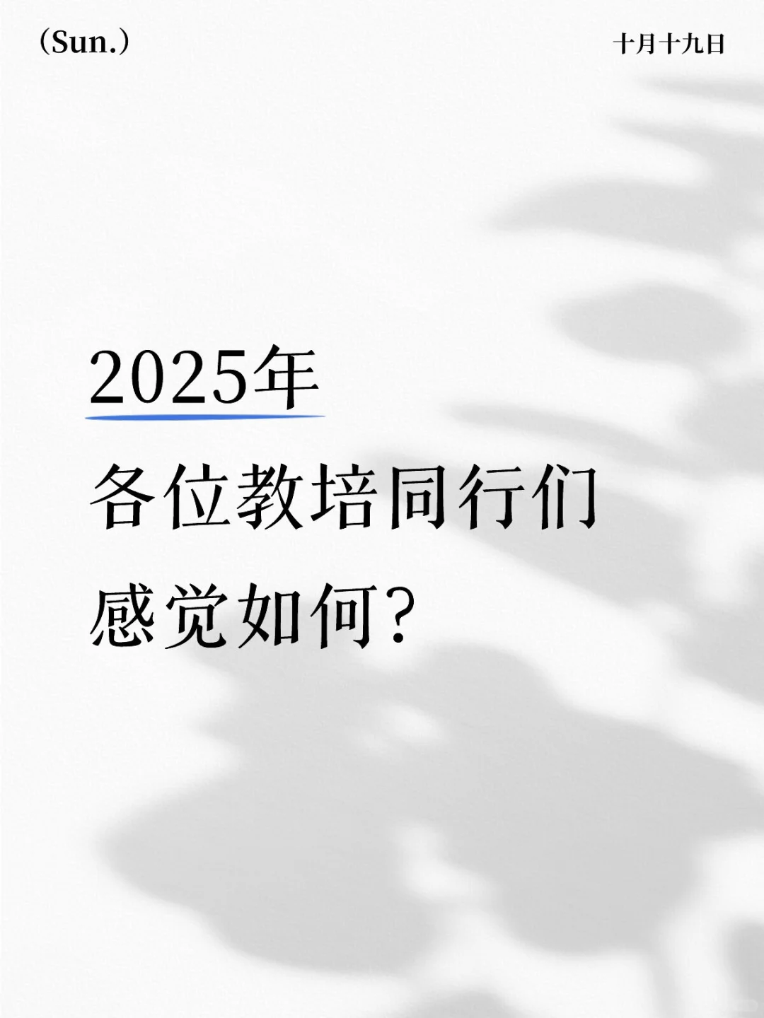 2025年十月教培已成绝响