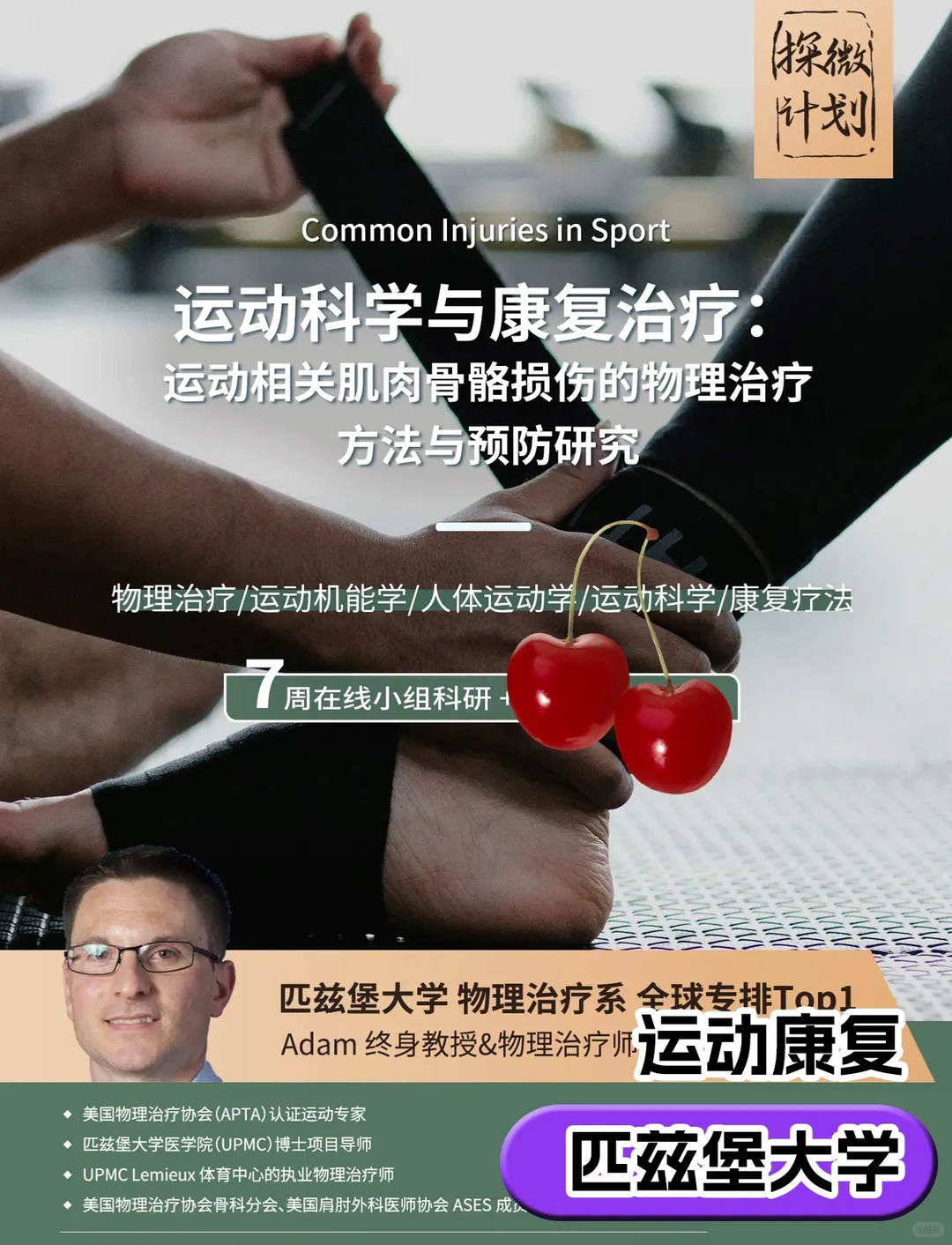 寒假科研?假期不荒废,留学申请大提升