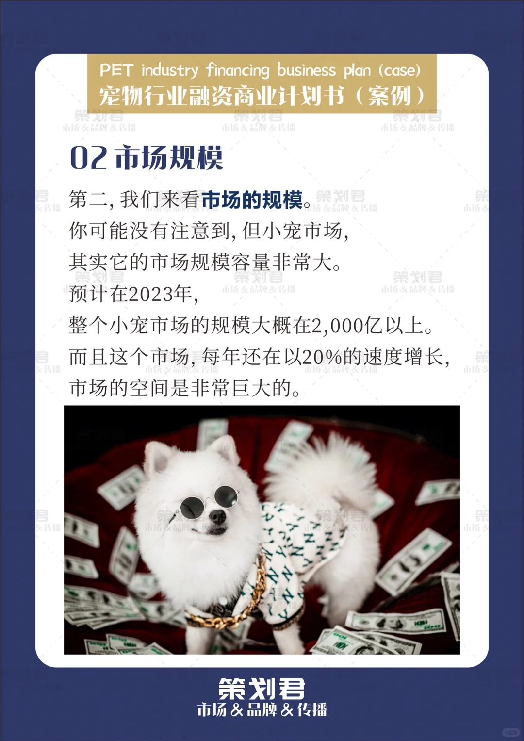 宠物行业融资商业计划书（案例）?
