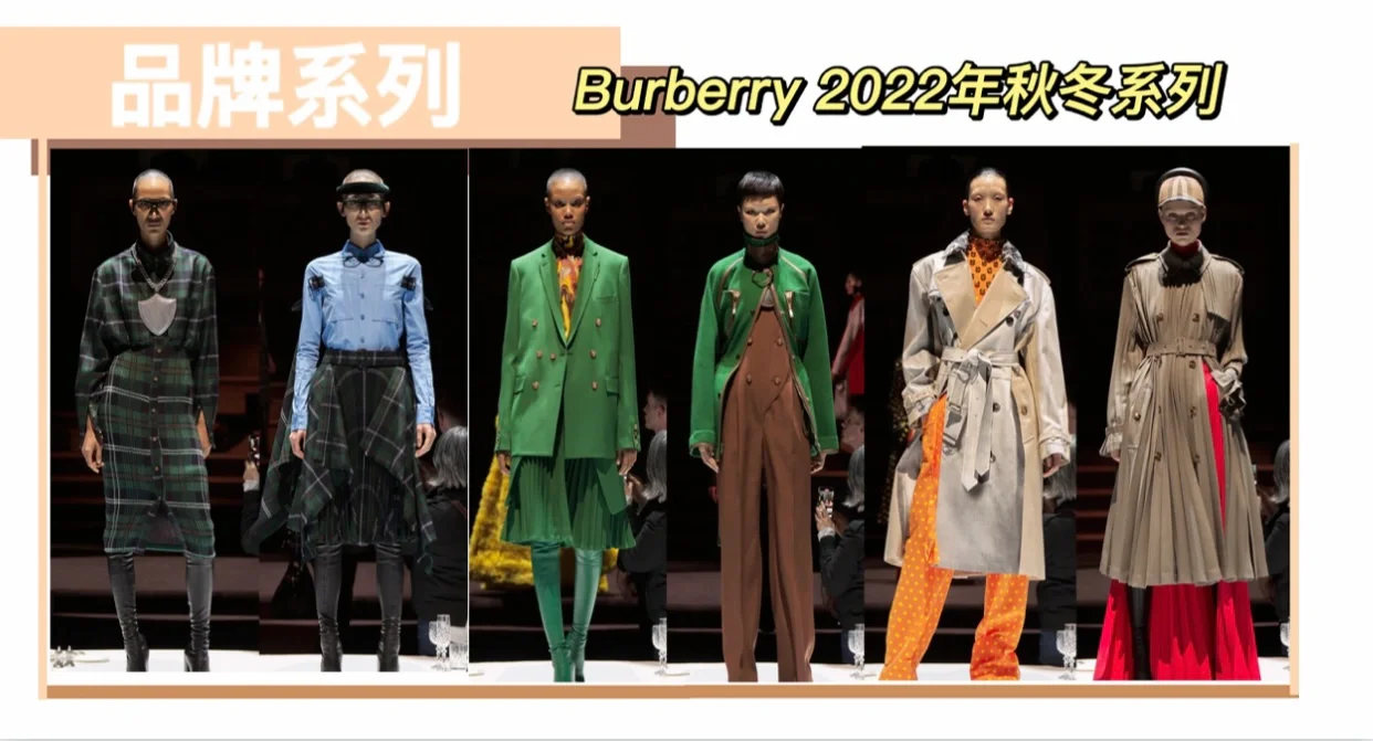 服装品牌调研案例分析1