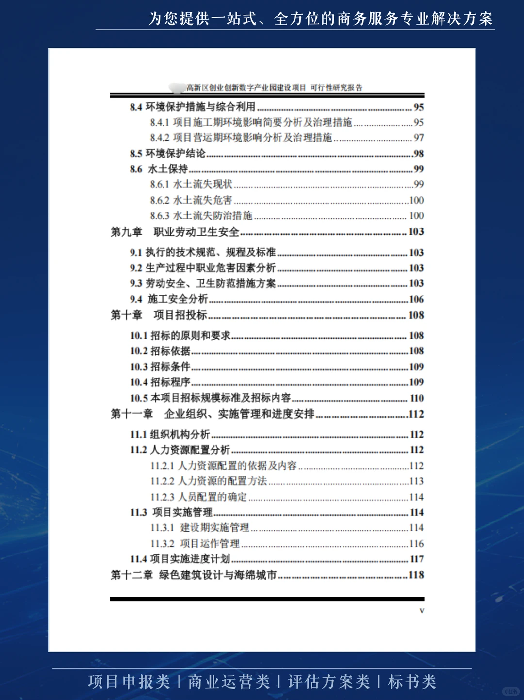 这份可行性研究报告，不仅厚而且专