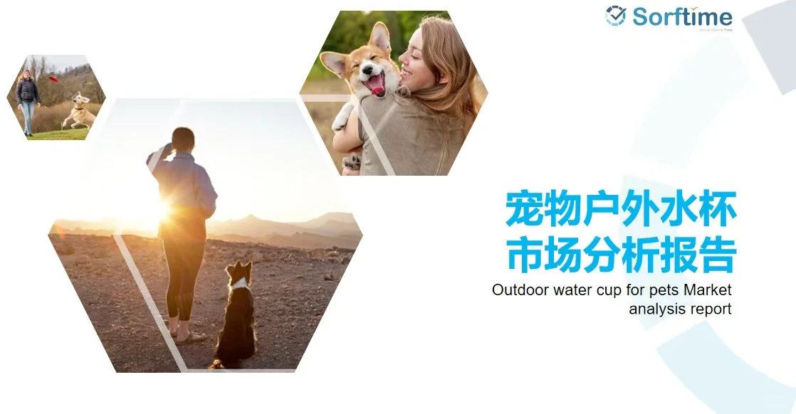市场分析报告—用数据了解市场