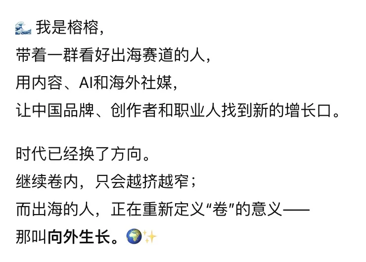 内卷的尽头,是出海?