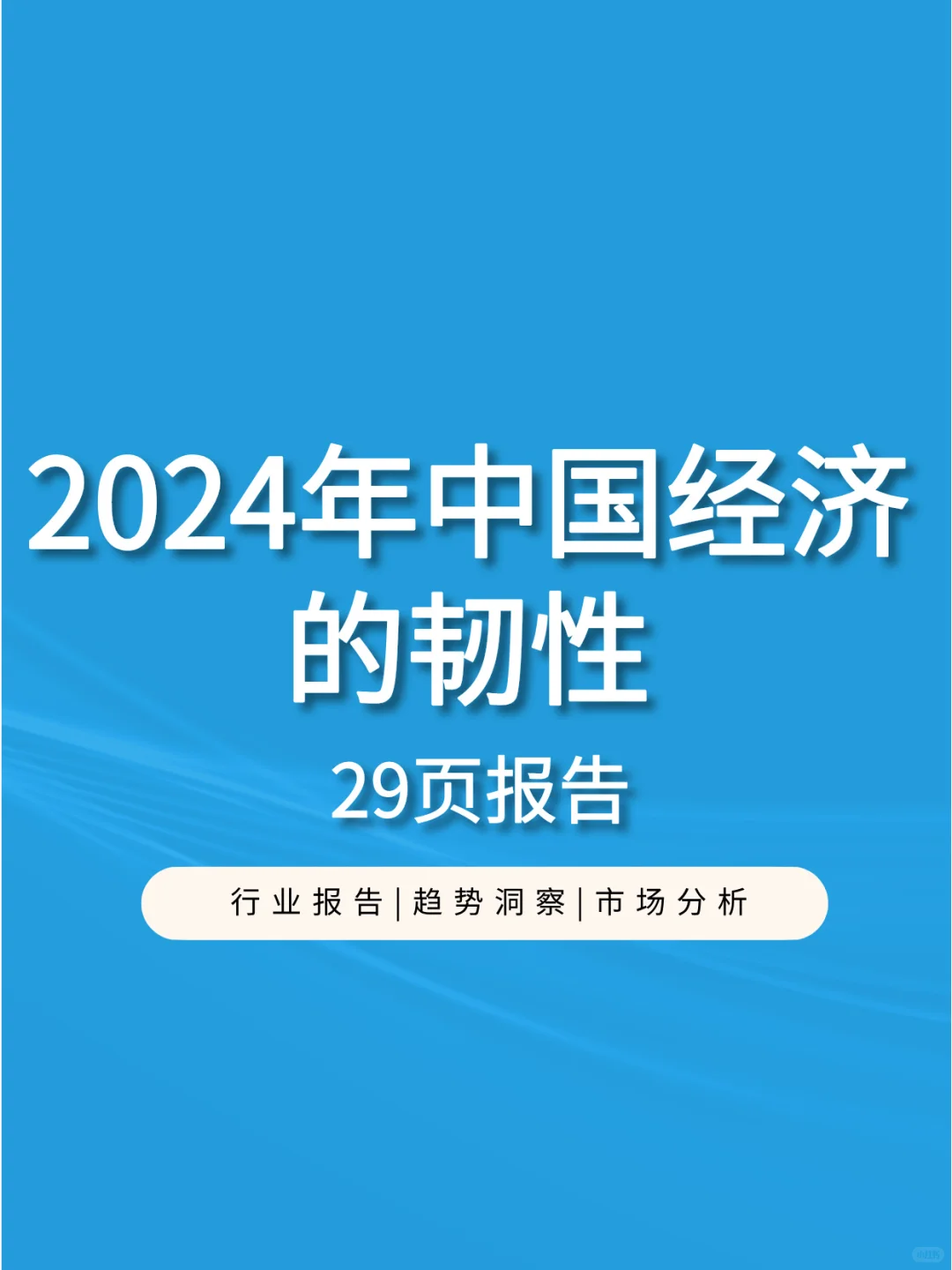 2024年中国经济的韧性
