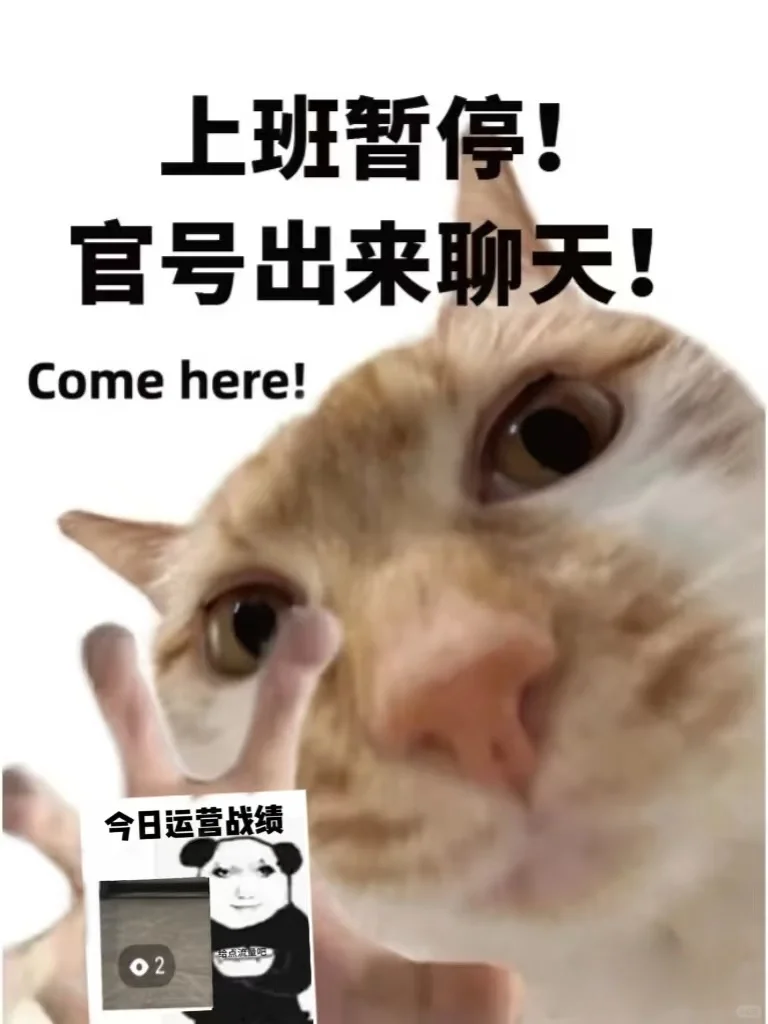 我们00后运营都是拿大号在发疯的