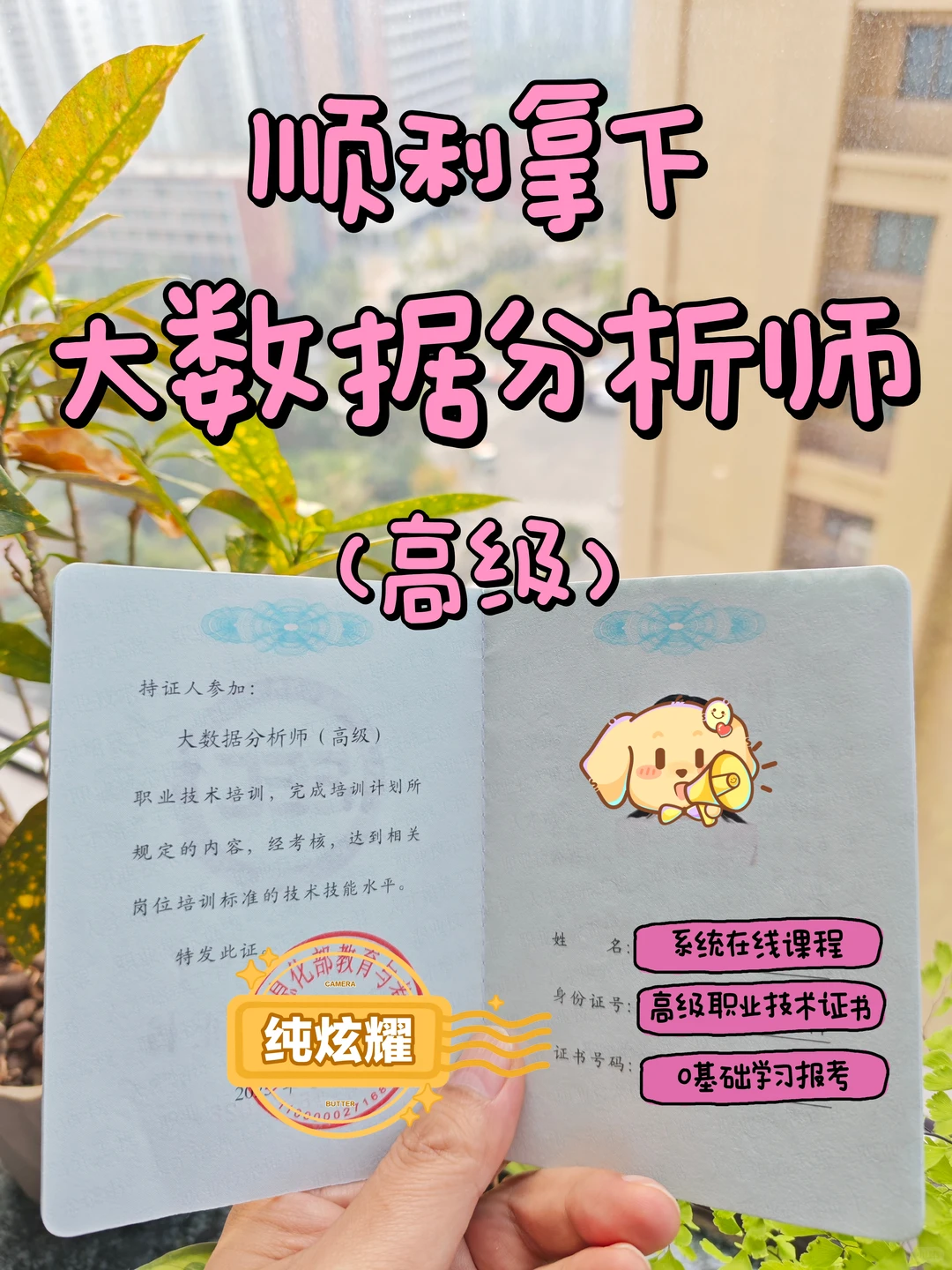 妹妹,有空就去考个大数据分析师!真的很香