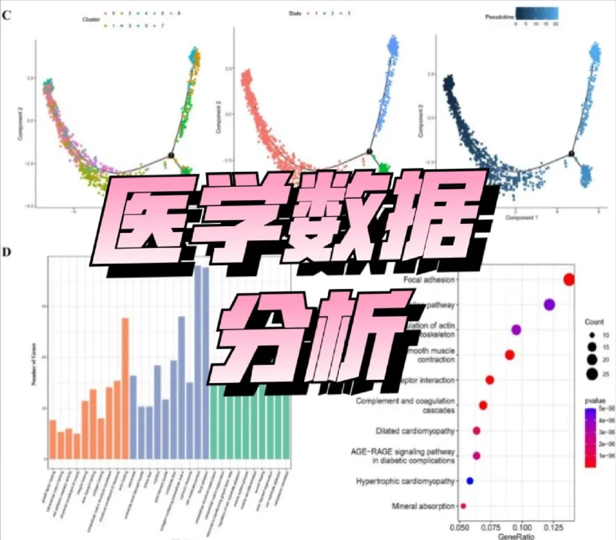 医学数据分析