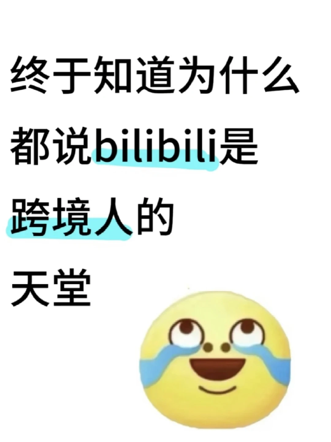 终于知道为什么说bilibili是跨境人的天堂