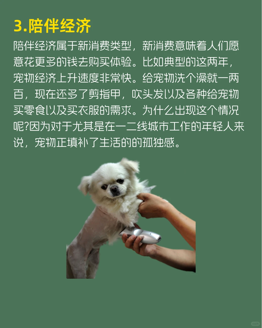 即将迎来4个风口行业现在入场还不晚