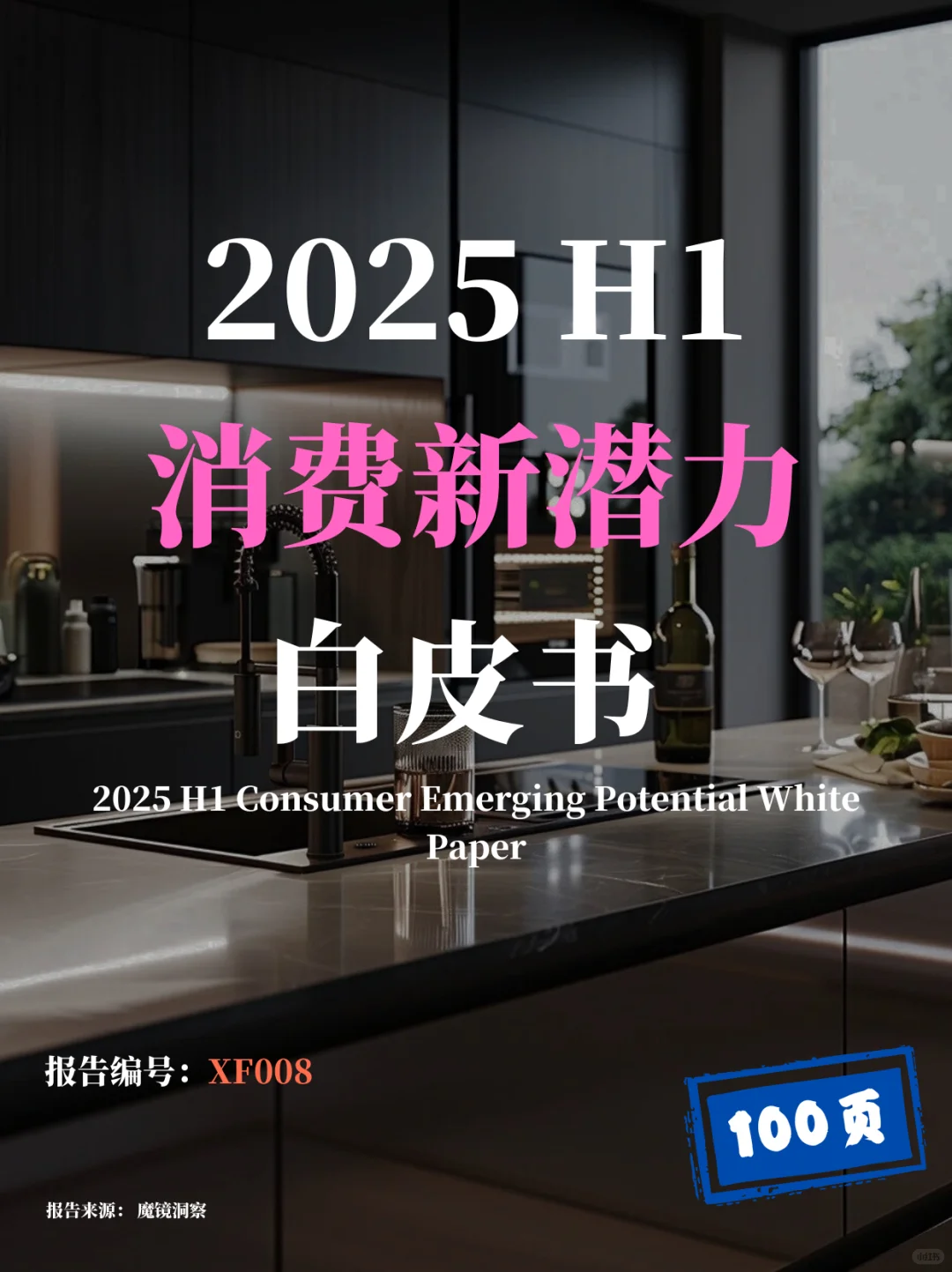 2025上半年消费新潜力白皮书