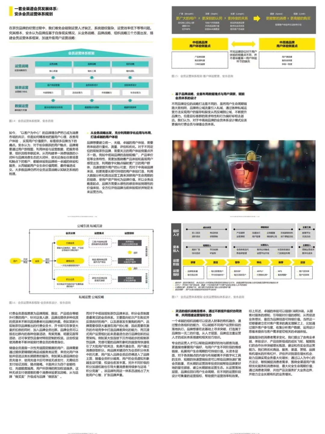 2023年新茶饮品牌洞察白皮书